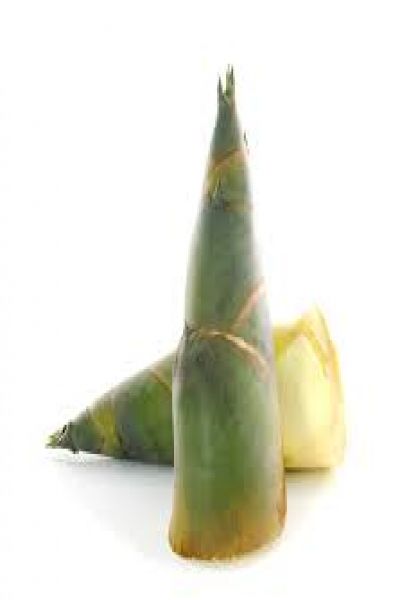 Măng Tươi