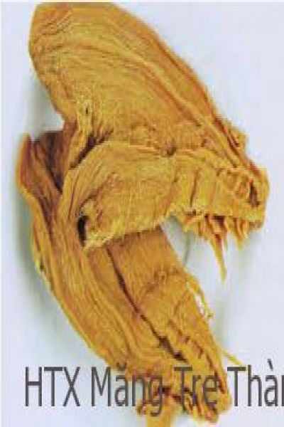 Măng Tre Khô